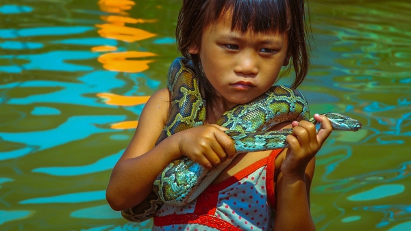 See Angkor Wat and Die