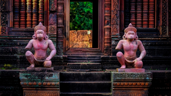 See Angkor Wat and Die