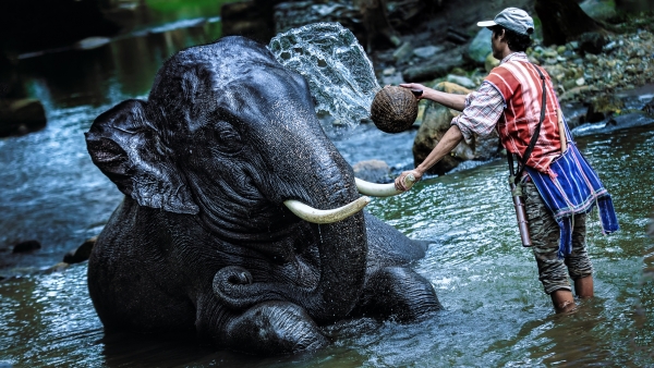 Chiang Mai – the Beauty of Diversity