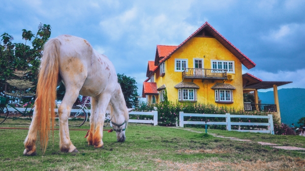 Chiang Mai – the Beauty of Diversity