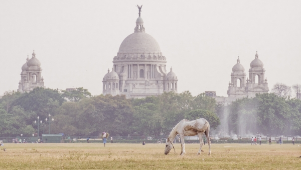 Kolkata & Sikkim, India
